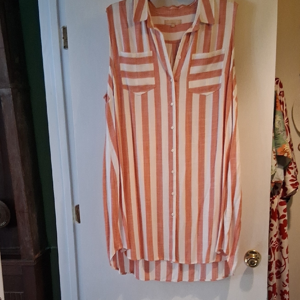 Striped Sleeveless Button-Down Dress
